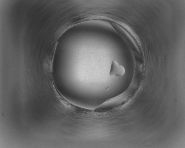 X0000070210905200606021252