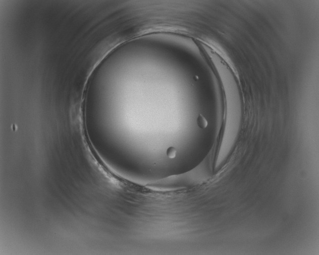 X0000070210906200606021252