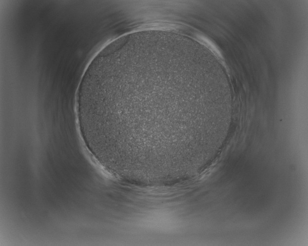 X0000070210907200606021252