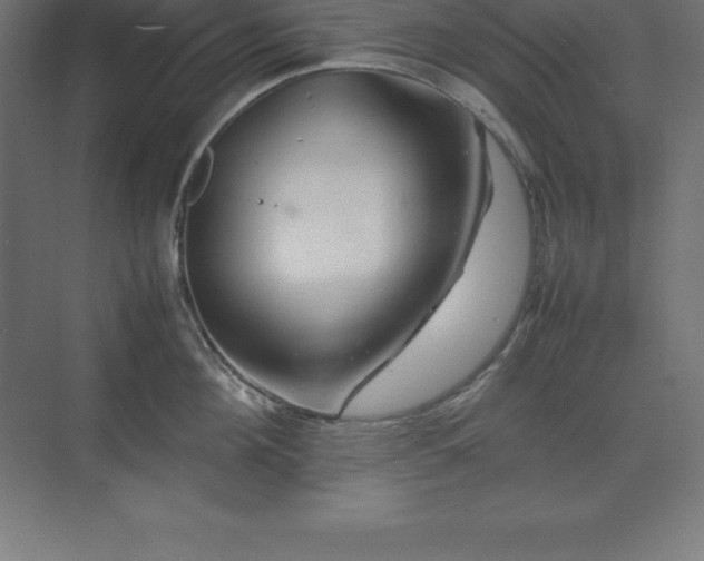 X0000070210908200606021252