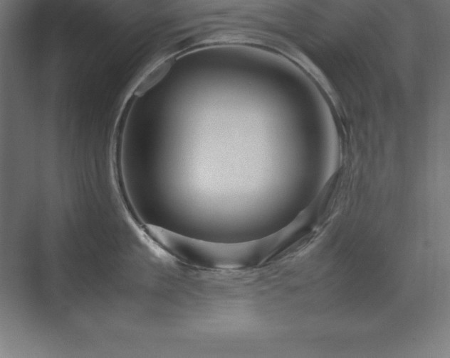 X0000070210909200606021252