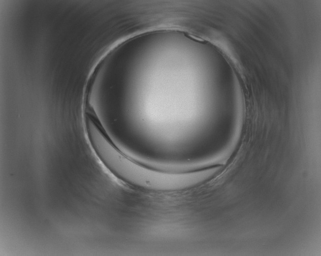 X0000070210910200606021252