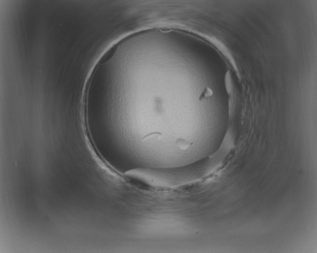 X0000070210911200606021252