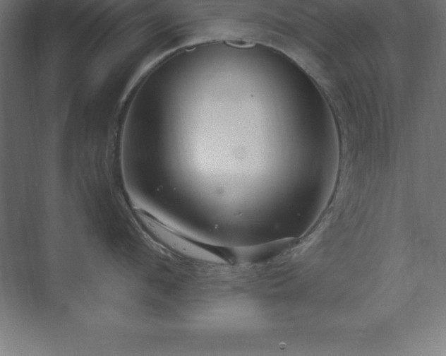 X0000070210912200606021252