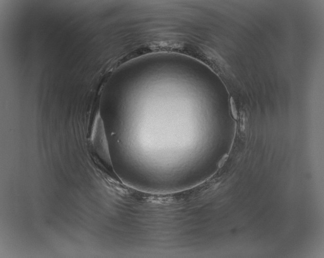 X0000070210915200606021251