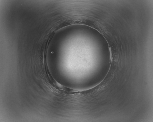 X0000070210916200606021251