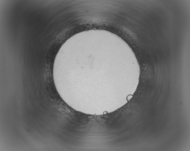 X0000070210918200606021251