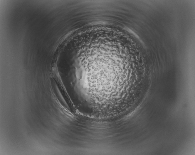 X0000070210921200606021251