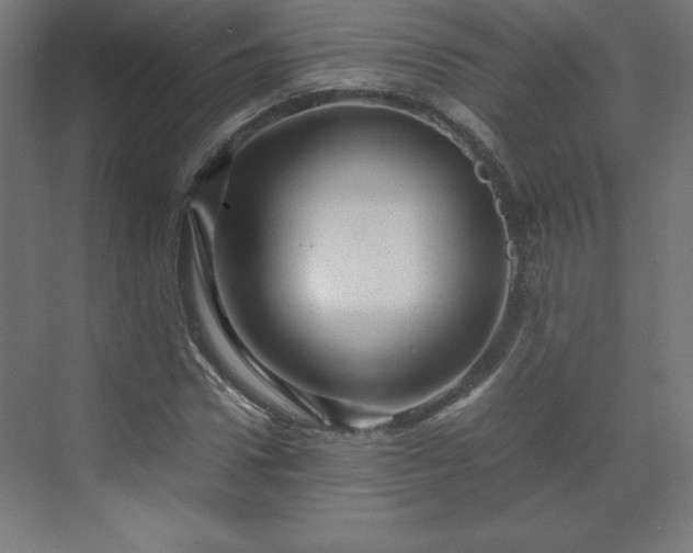 X0000070210922200606021251