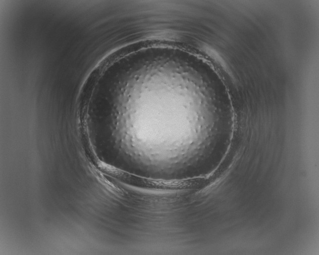 X0000070210923200606021251