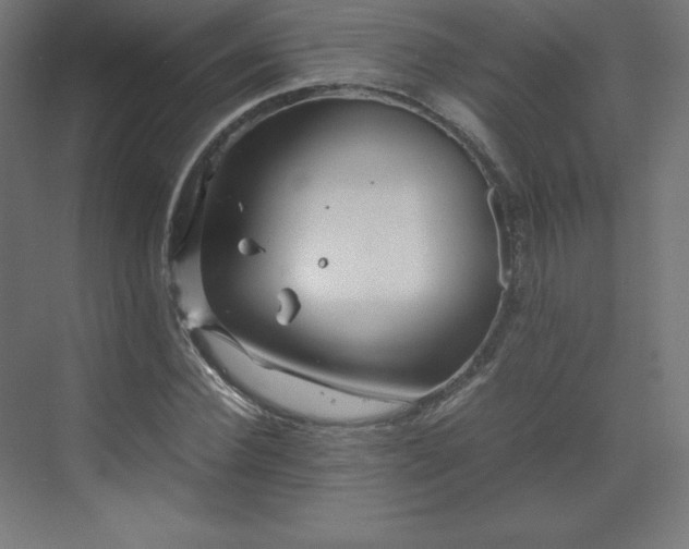 X0000070210924200606021251