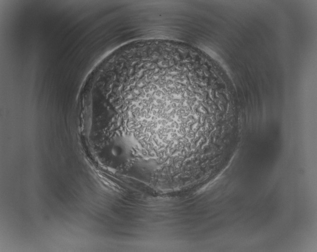 X0000070210925200606021251