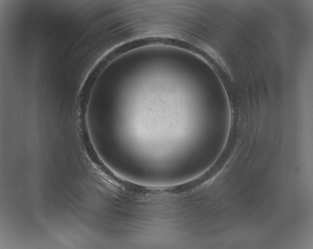 X0000070210926200606021251