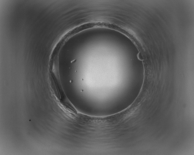 X0000070210927200606021251