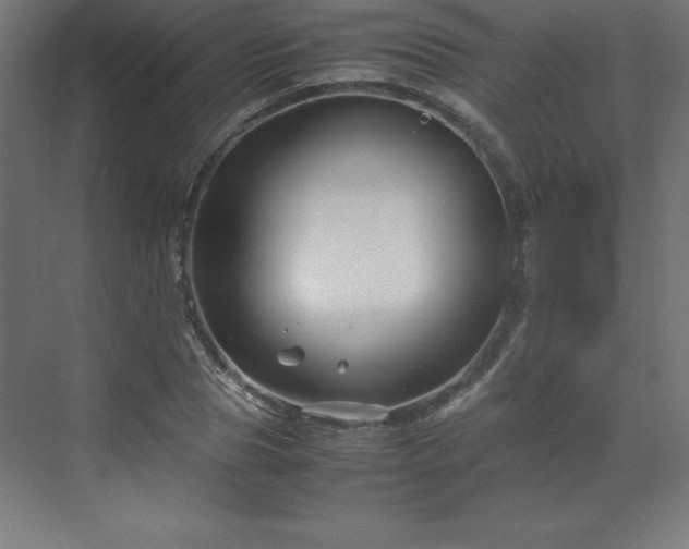 X0000070210929200606021251