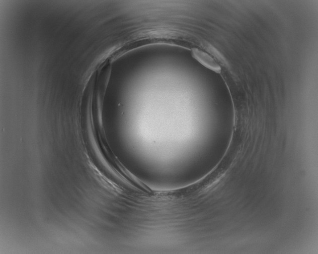 X0000070210930200606021251