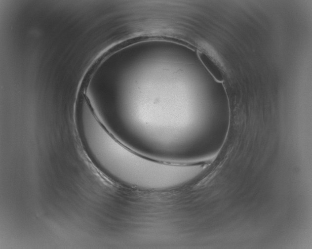 X0000070210932200606021251