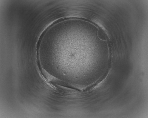 X0000070210933200606021251