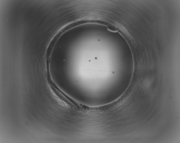 X0000070210934200606021251