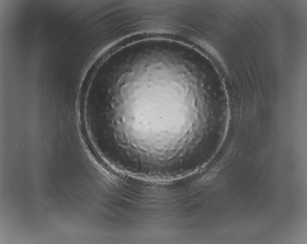 X0000070210935200606021251