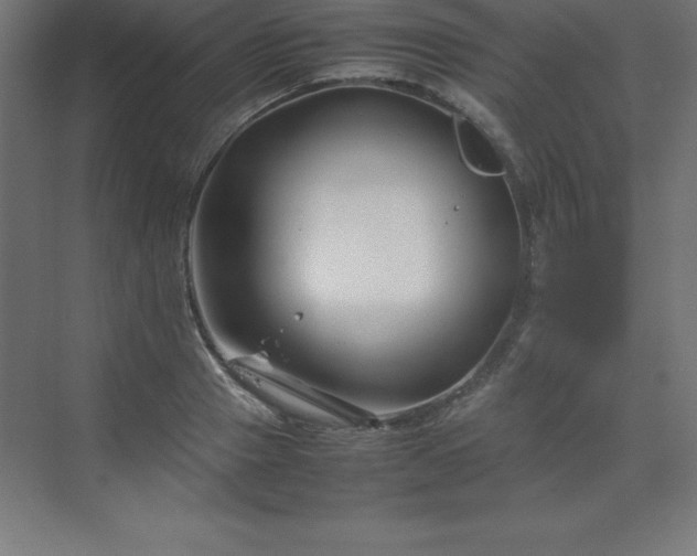 X0000070210937200606021251