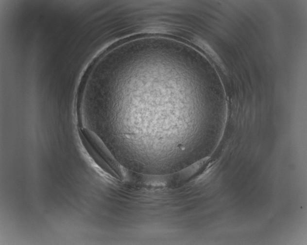 X0000070210939200606021251