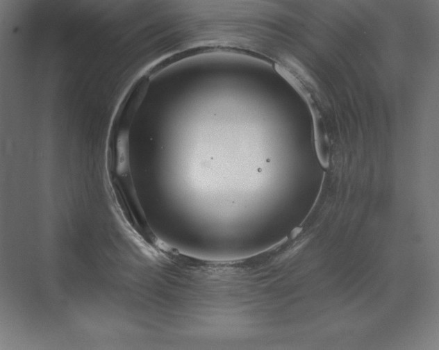 X0000070210940200606021251