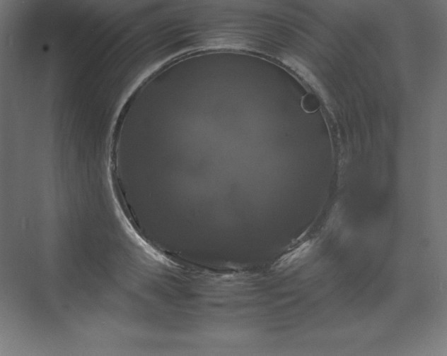 X0000070210941200606021251