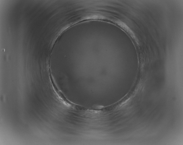 X0000070210945200606021251