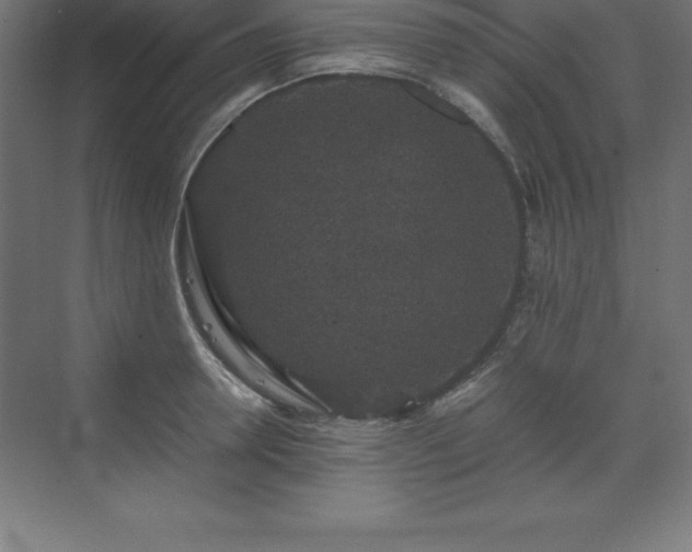 X0000070210946200606021251