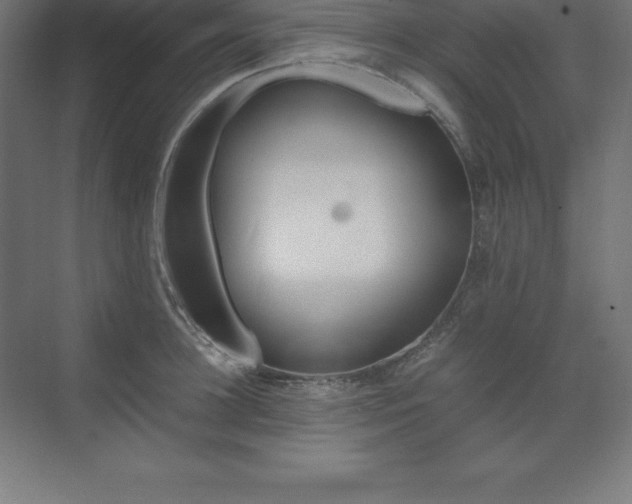 X0000070210948200606021252