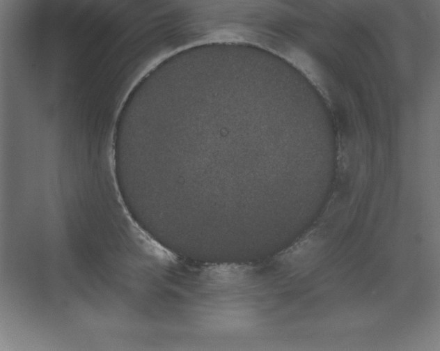 X0000070210950200606021252