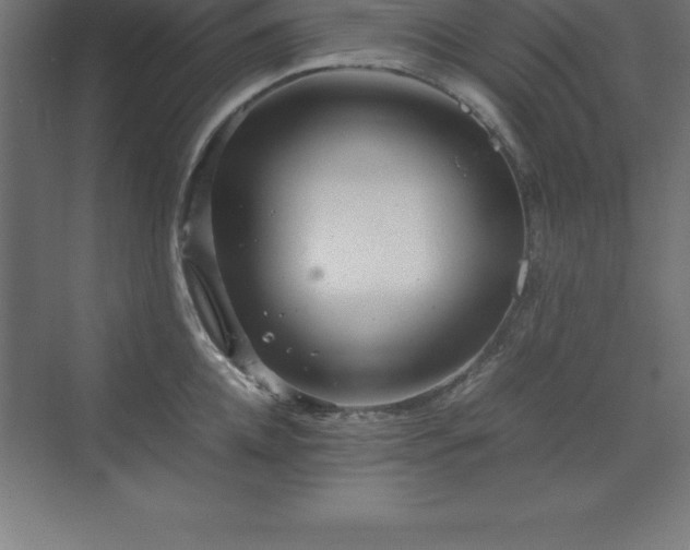 X0000070210952200606021252