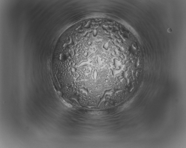 X0000070210953200606021252