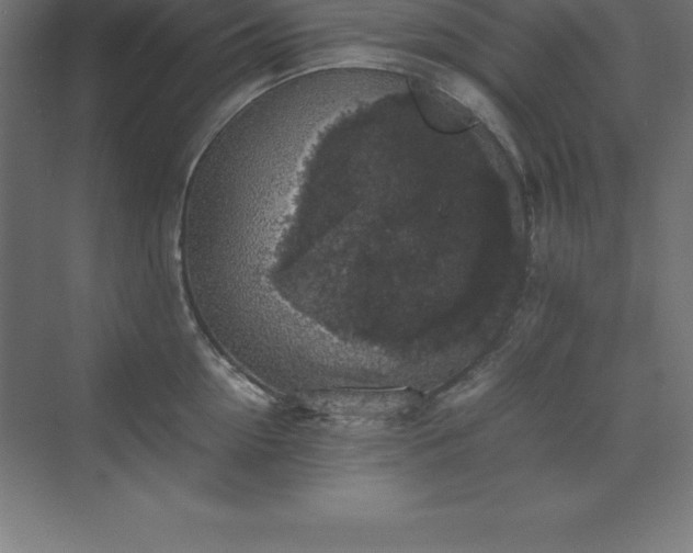 X0000070210954200606021252