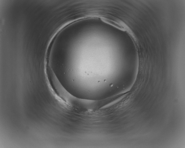 X0000070210955200606021252