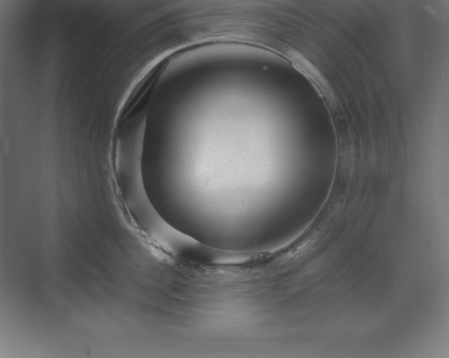 X0000070210956200606021252