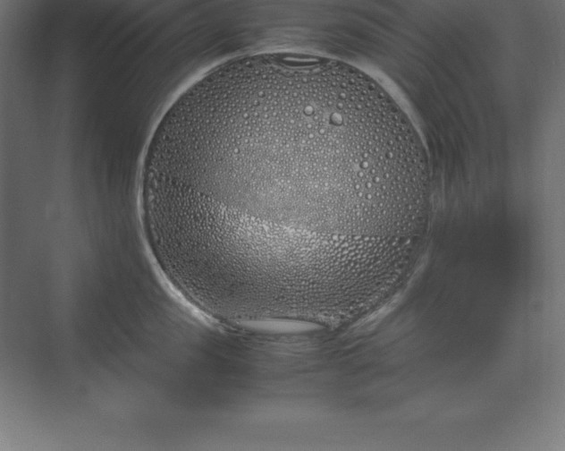 X0000070210957200606021252