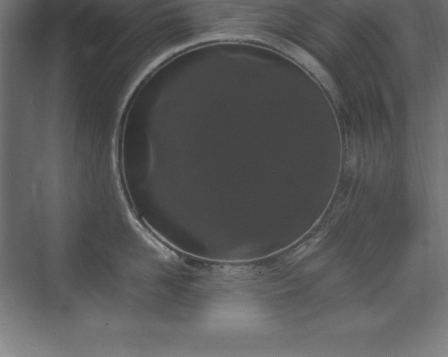 X0000070210958200606021252