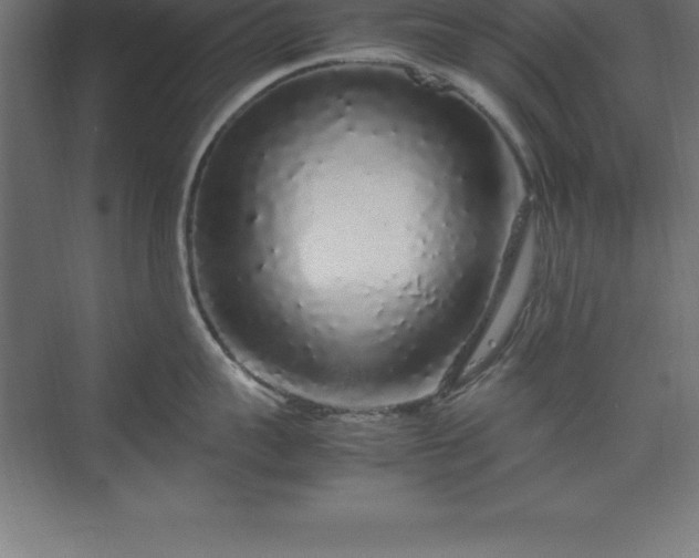 X0000070210959200606021252