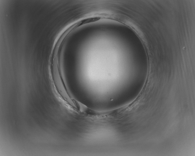 X0000070210960200606021252