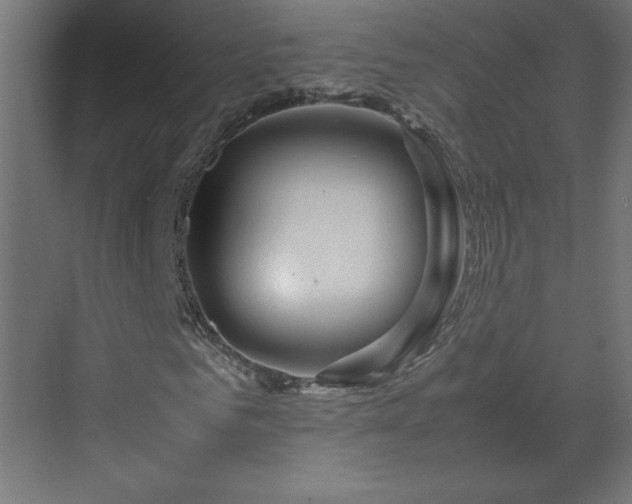 X0000070210961200606021251