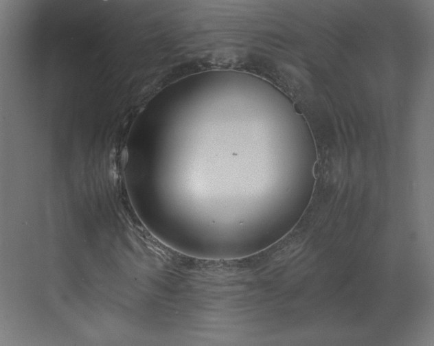 X0000070210962200606021251