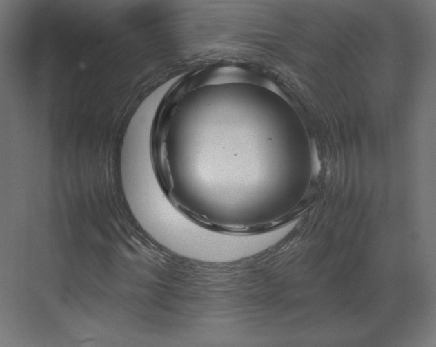 X0000070210964200606021251