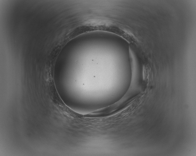 X0000070210965200606021251