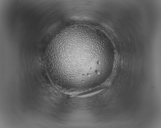 X0000070210966200606021251