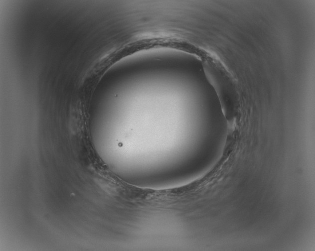 X0000070210967200606021251