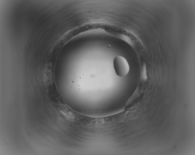 X0000070210968200606021251