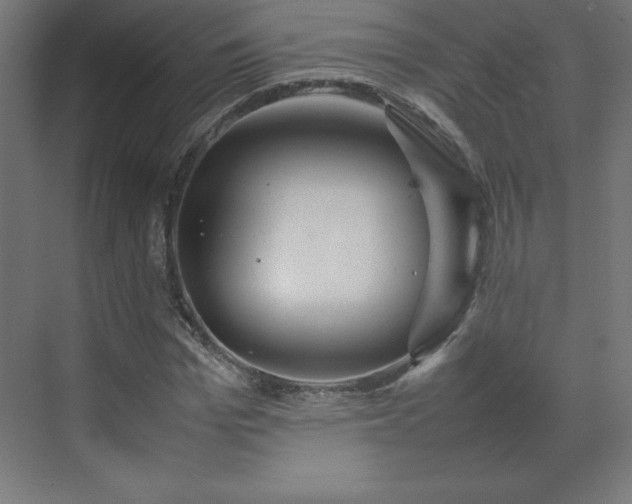 X0000070210969200606021251