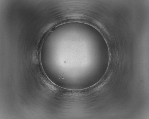 X0000070210970200606021251